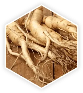 ProstaVive Panax Ginseng